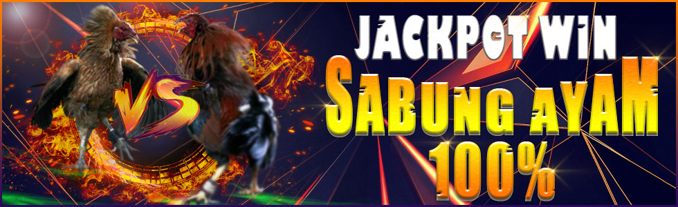 Bonus Jackpot Win Beruntun Sabung Ayam  100%